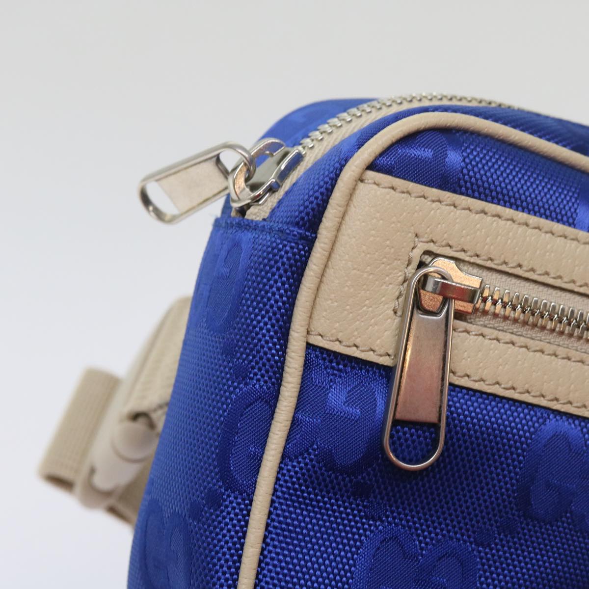 Gucci GG canvas