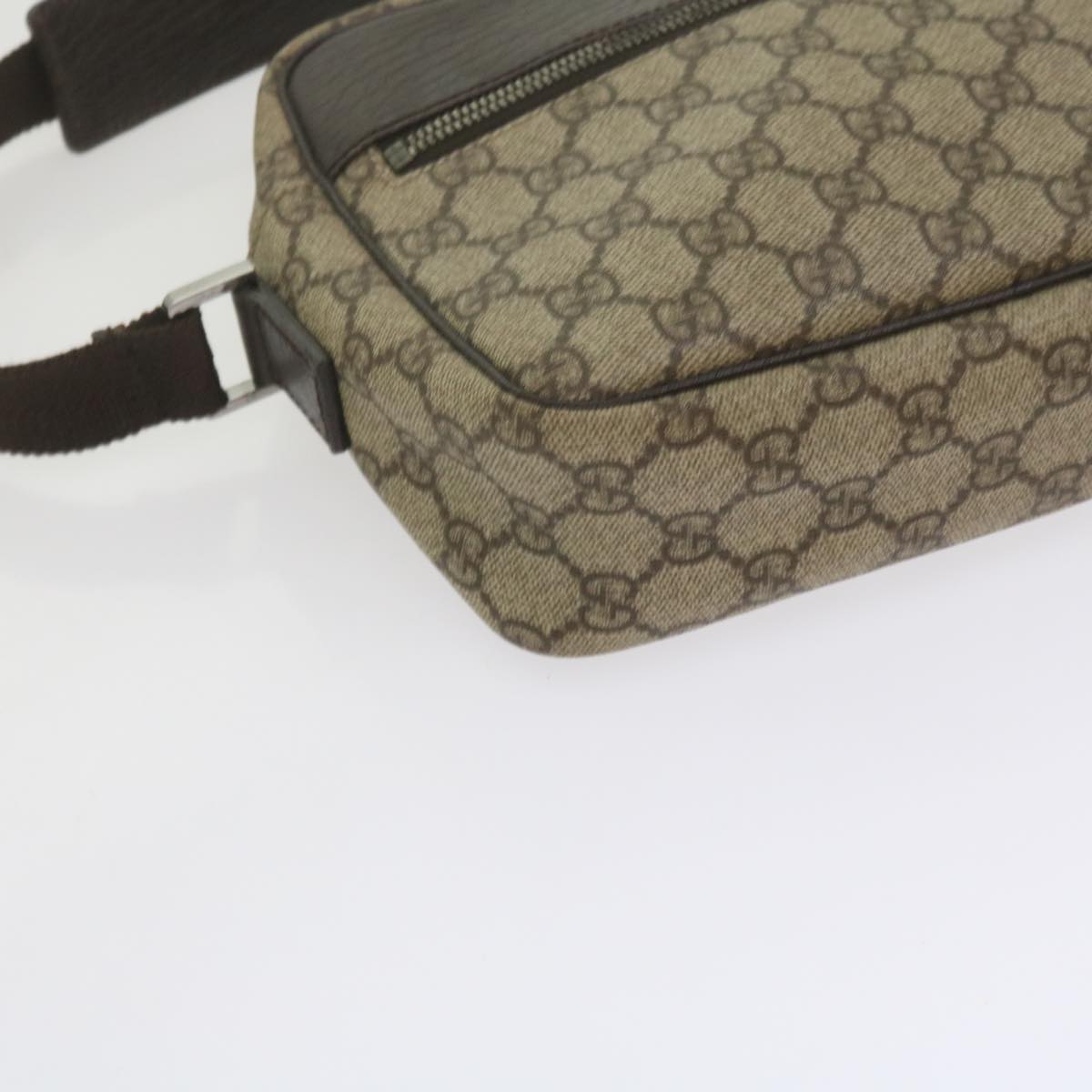 Gucci GG canvas